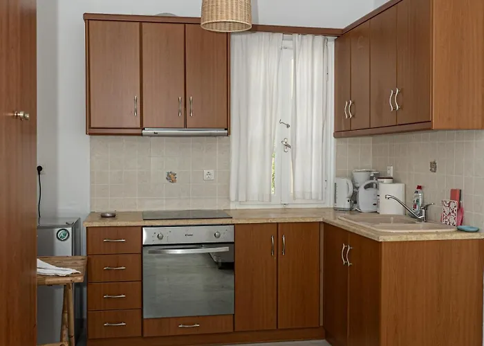 Amedi Tinos 펜션 *