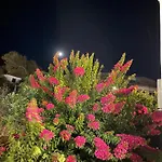 Amedi Tinos Vakantiehuis *