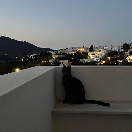 度假居 Amedi Tinos *