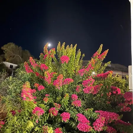 Amedi Tinos 度假居 *