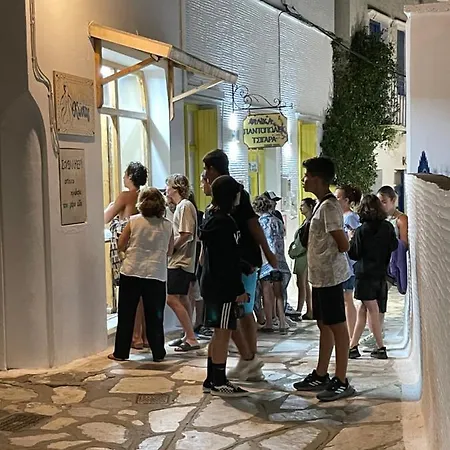 Tatil Evi Amedi Tinos Pánormos